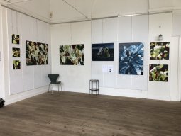 Brndsalen september 2024